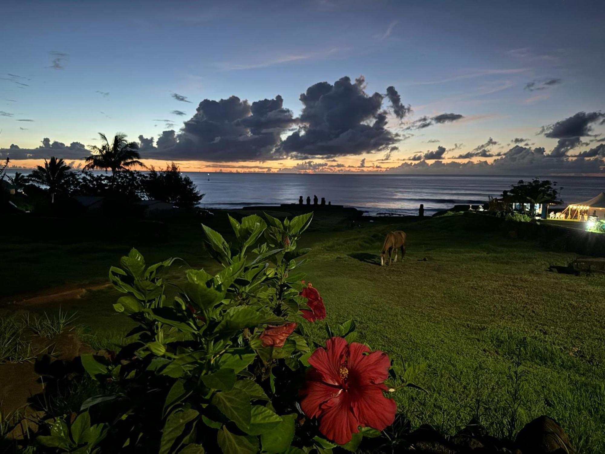 Villa Cabanas Tangaroa Y Hamea à Hanga Roa Extérieur photo